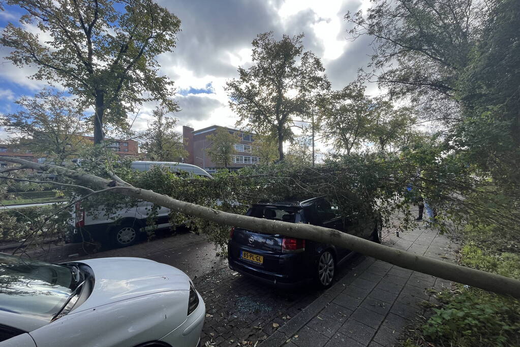 Auto beschadigd door omgevallen boom
