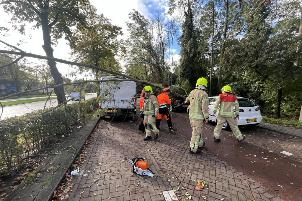 Auto beschadigd door omgevallen boom