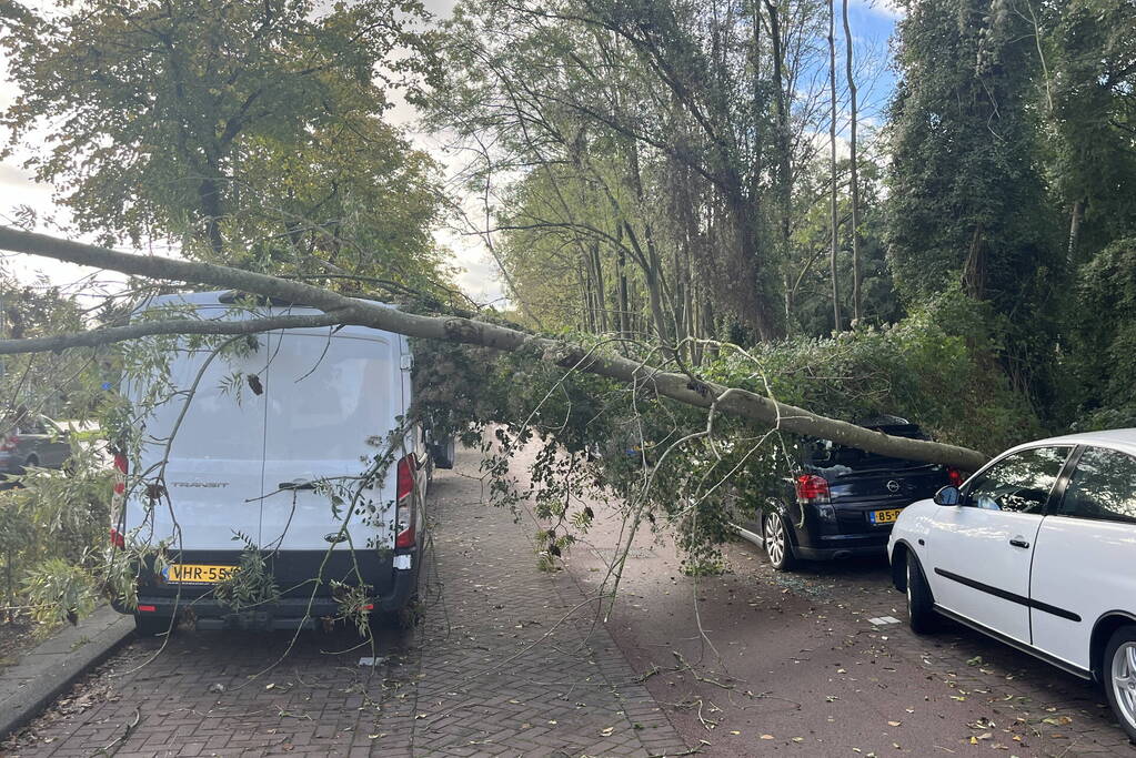 Auto beschadigd door omgevallen boom
