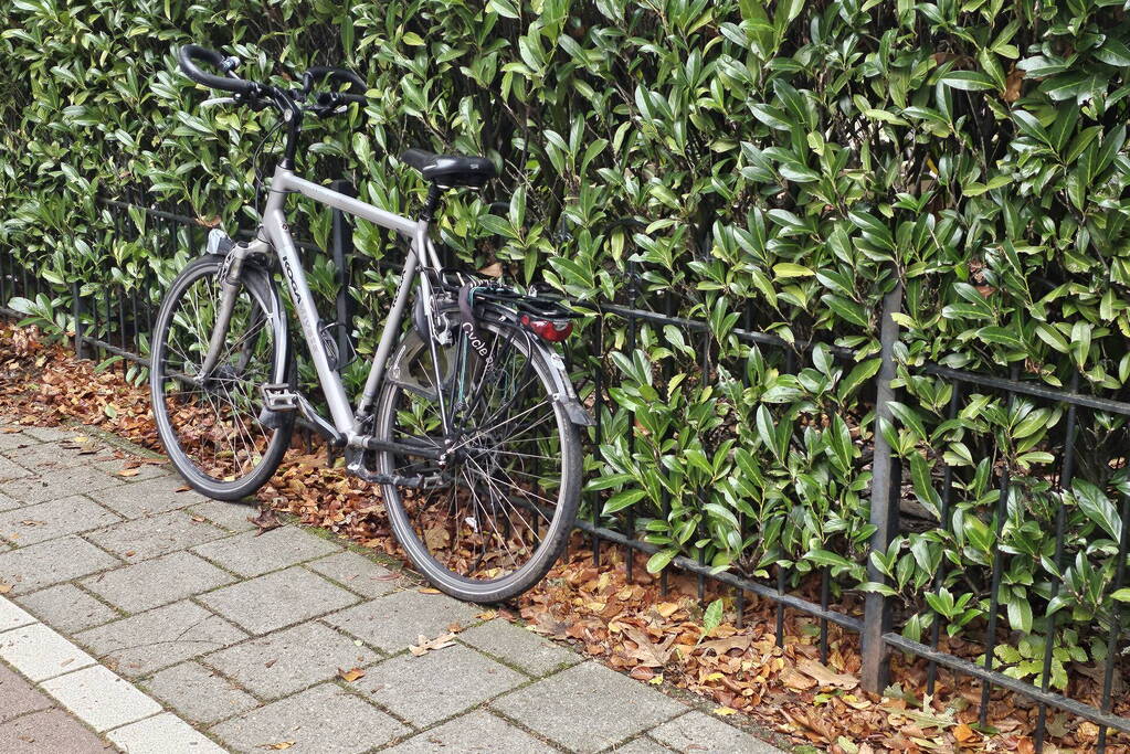 Fietser gewond na harde val