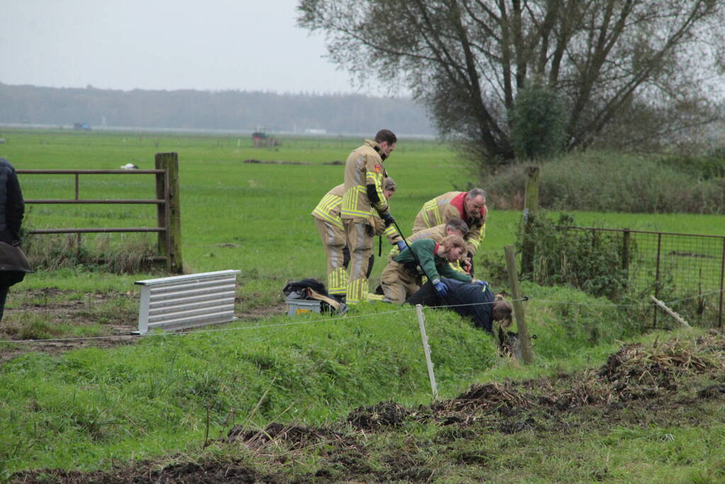 Brandweer en omstanders halen paard uit water