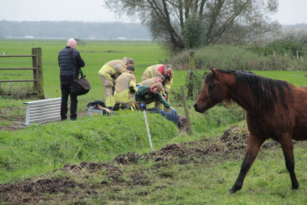Brandweer en omstanders halen paard uit water