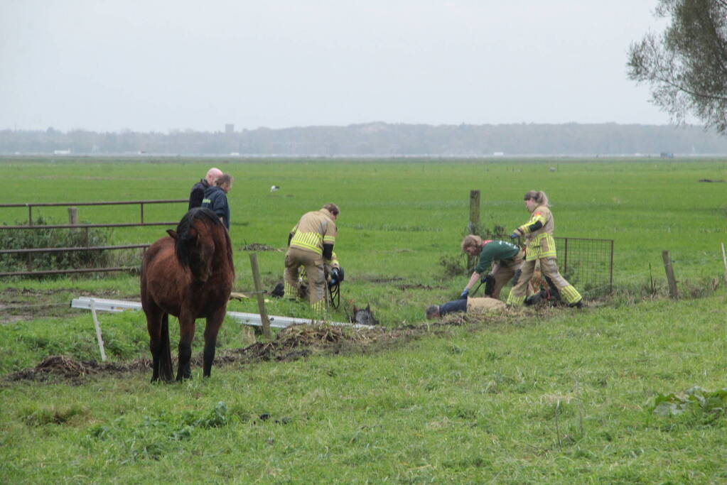 Brandweer en omstanders halen paard uit water