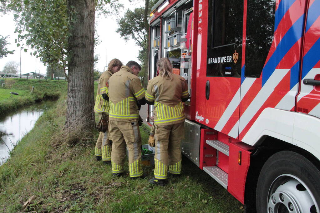 Brandweer en omstanders halen paard uit water