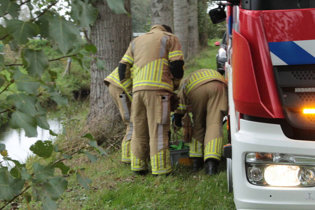 Brandweer en omstanders halen paard uit water