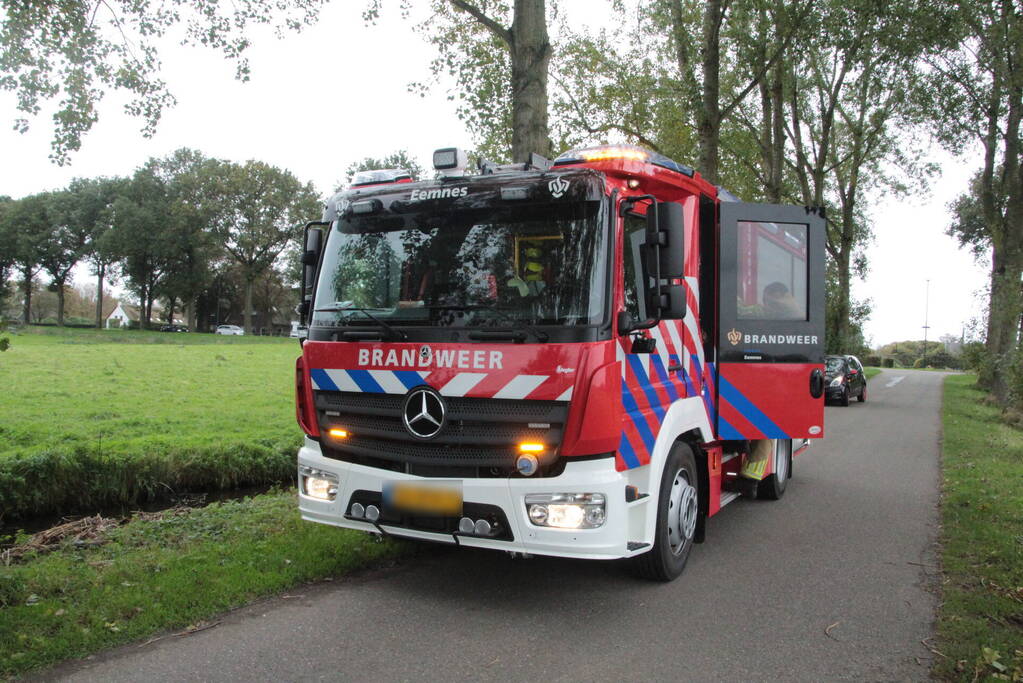 Brandweer en omstanders halen paard uit water