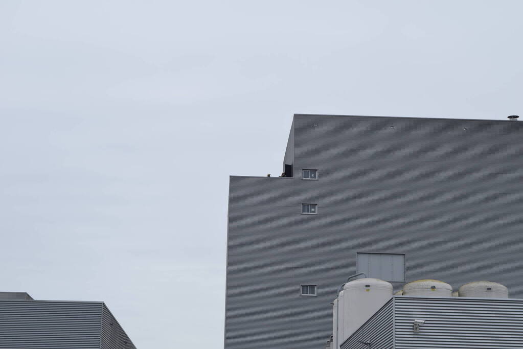 Hulpdiensten groots ingezet voor brand in bedrijfspand