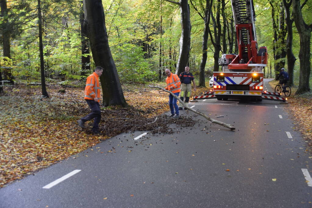 Brandweer ingezet voor loshangende tak