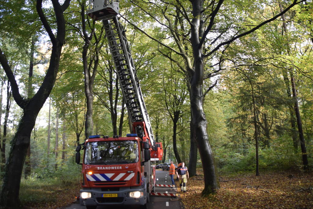 Brandweer ingezet voor loshangende tak