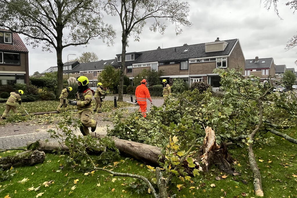 Brandweer zaagt omgevallen boom in stukken