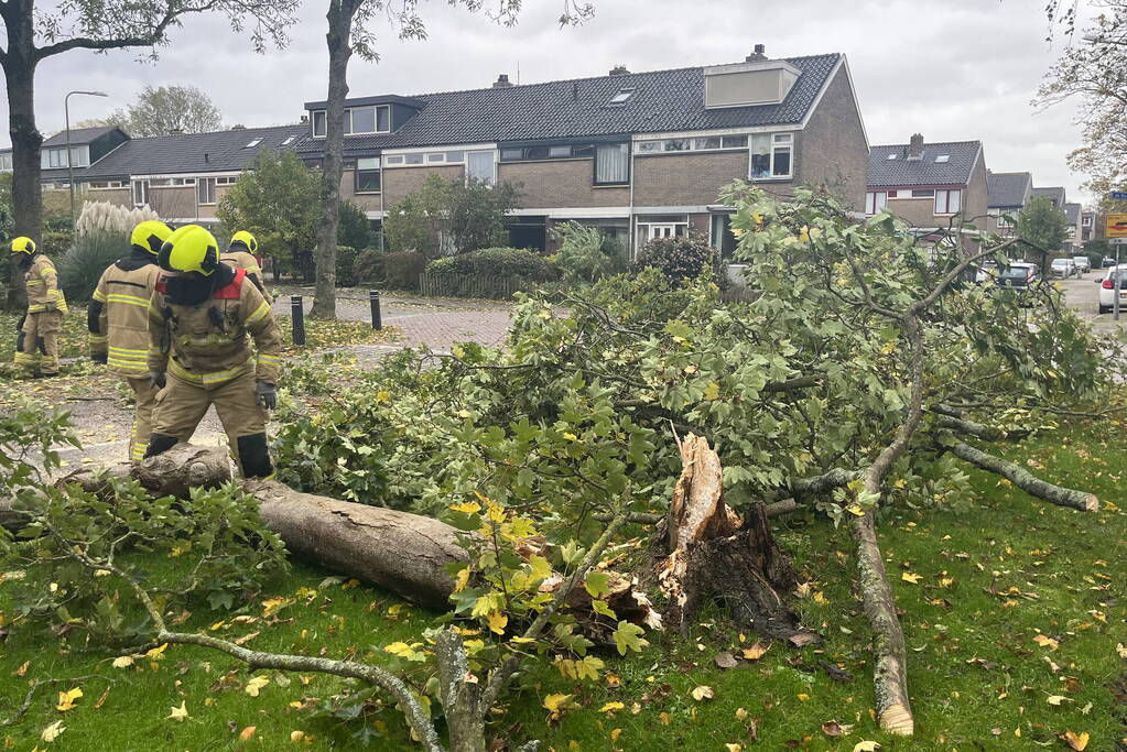 Brandweer zaagt omgevallen boom in stukken