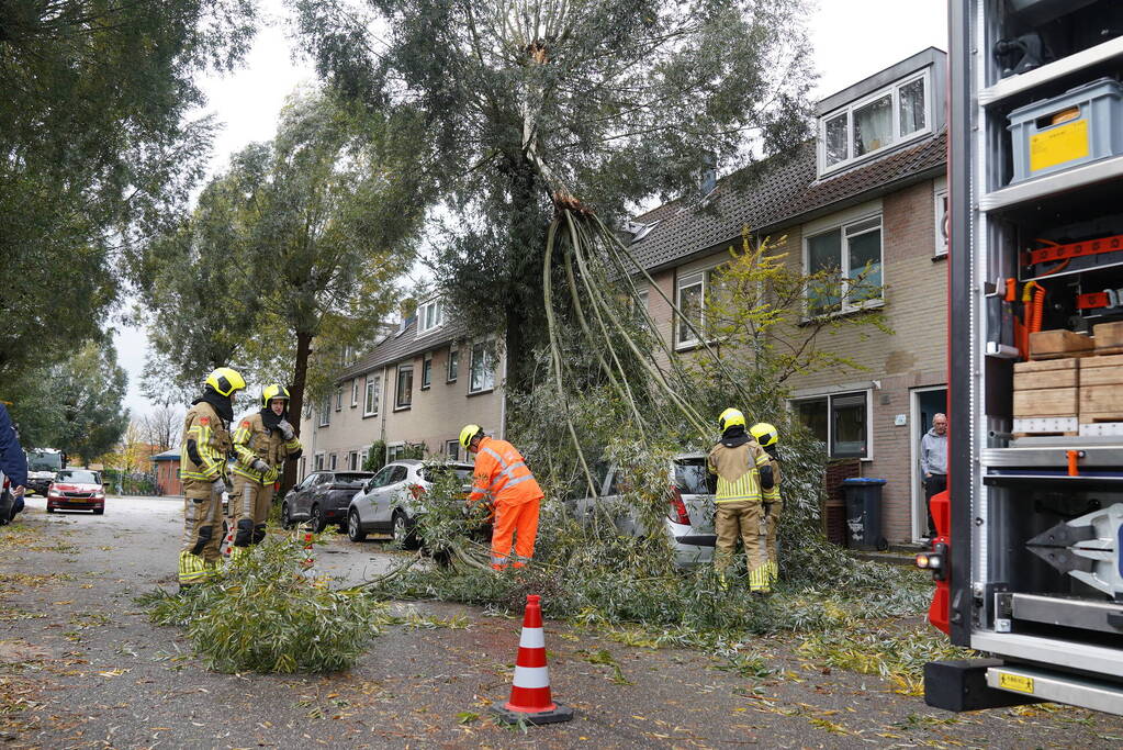 Grote loshangende tak komt boven op personenauto terecht
