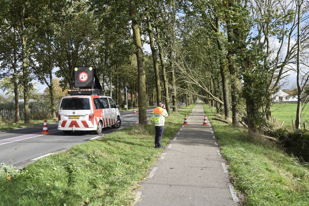 Meerdere bomen over de provinciale weg