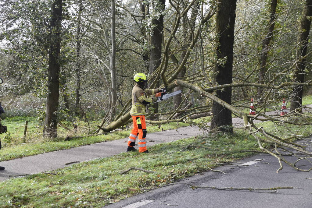 Meerdere bomen over de provinciale weg