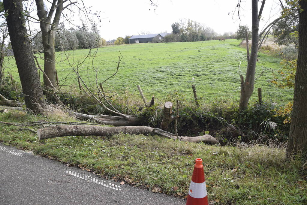 Meerdere bomen over de provinciale weg