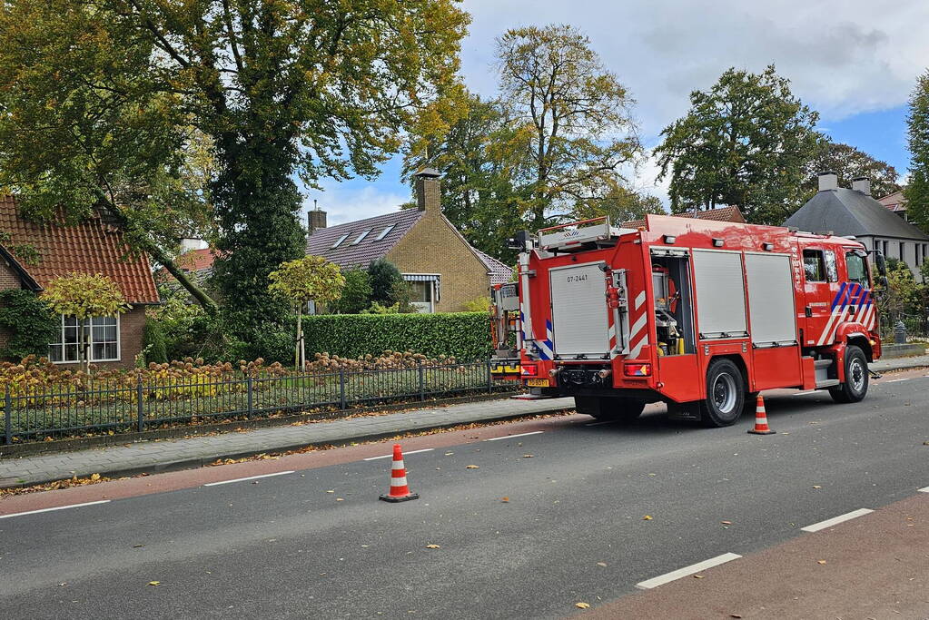 Forse schade aan woning door omgevallen boom