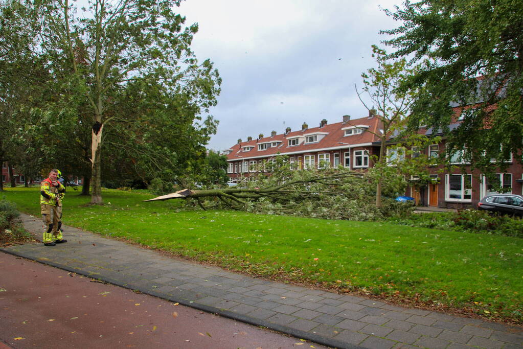 Omgeving afgezet door afgebroken tak