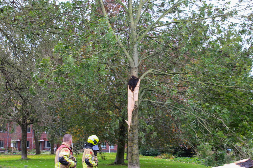 Omgeving afgezet door afgebroken tak