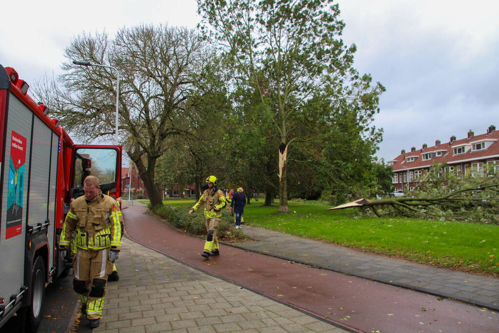 Omgeving afgezet door afgebroken tak