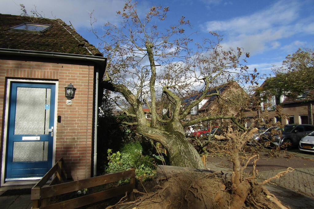 Omgewaaide boom beschadigd woning