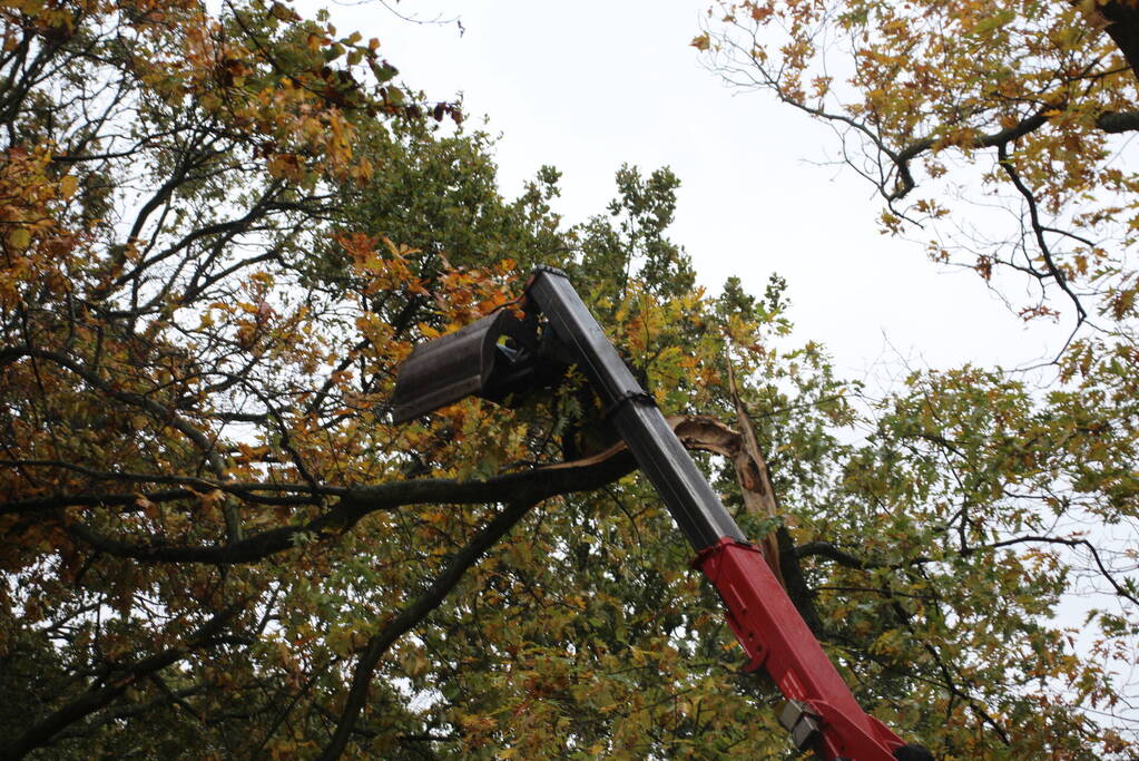 Weg gedeeltelijk dicht door gevaarlijk hangende tak