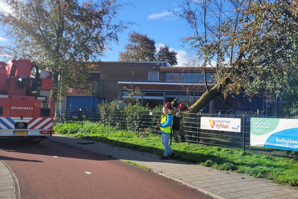 Hek beschadigd door omgevallen boom