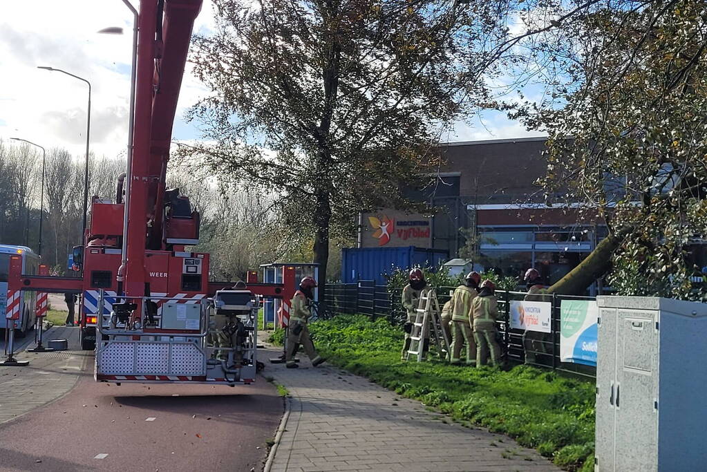 Hek beschadigd door omgevallen boom