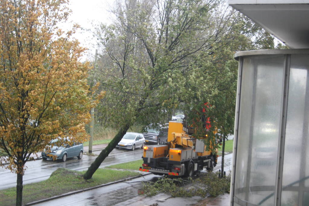Boom valt op bovenleiding van tram