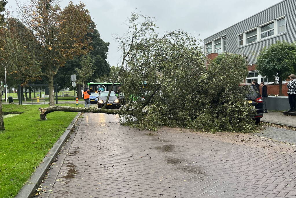 Omvallende boom beschadigd personenauto