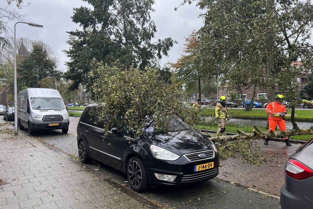 Omvallende boom beschadigd personenauto