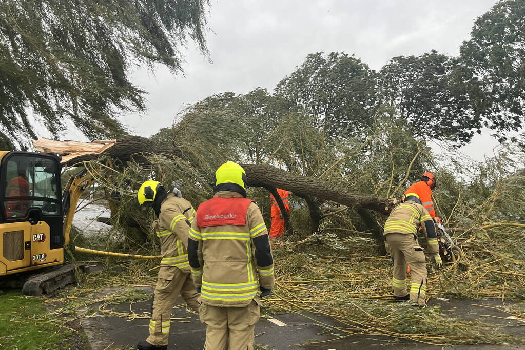Grote boom val over weg