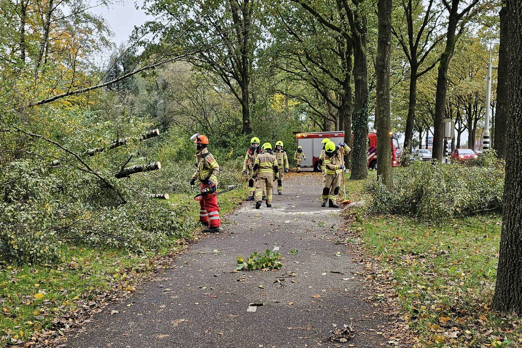 Meerdere omgevallen bomen versperren fietspad