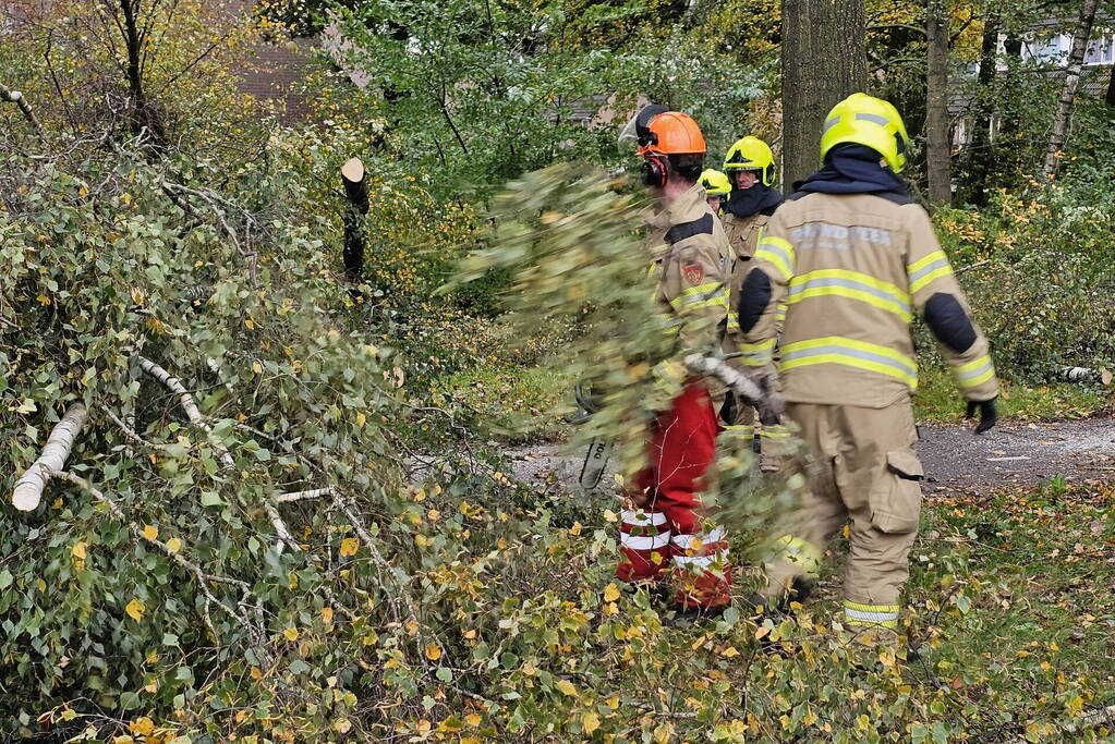 Meerdere omgevallen bomen versperren fietspad