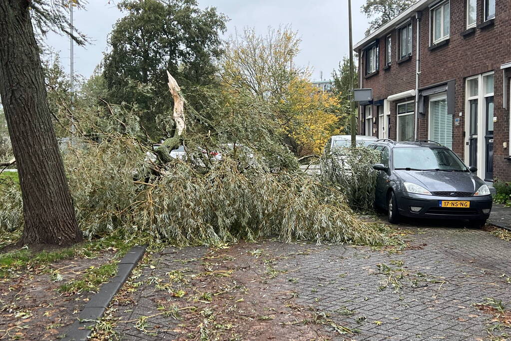 Grote tak valt uit boom auto beschadigd