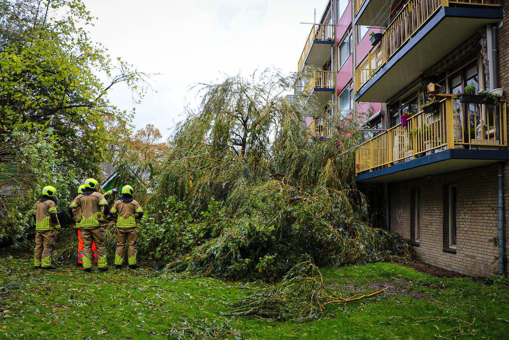 Grote boom omgevallen tegen flat