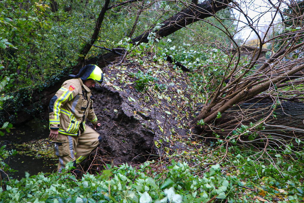 Grote boom omgevallen tegen flat