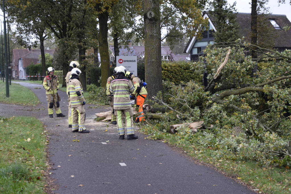 Autoladder ingezet voor gevaarlijk hangende tak