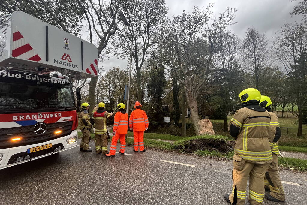 Gasleiding geraakt door omgevallen boom