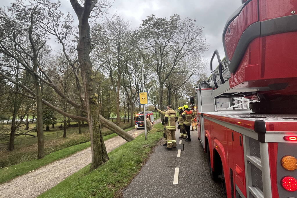Gasleiding geraakt door omgevallen boom