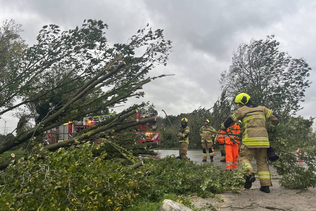 Brandweer verwijdert boom van weg