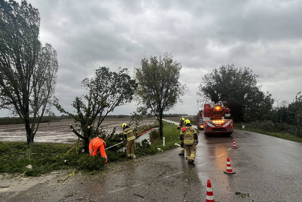 Brandweer verwijdert boom van weg