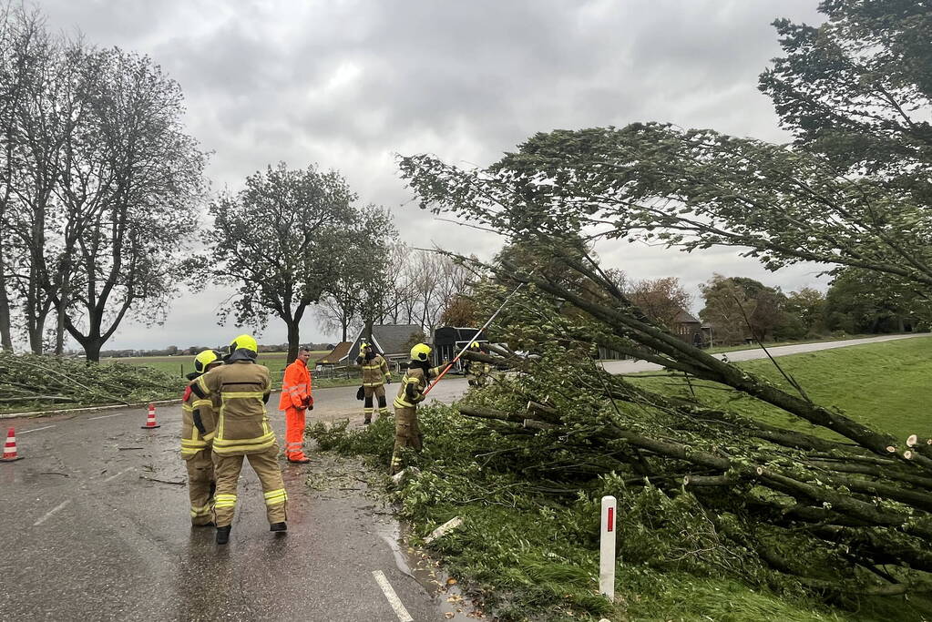 Brandweer verwijdert boom van weg