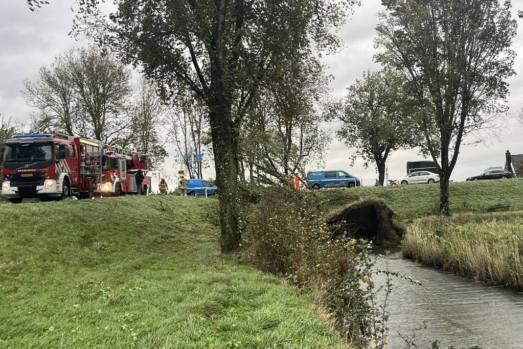 Brandweer verwijdert boom van weg