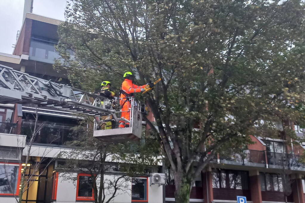 Boom dreigt door midden te breken