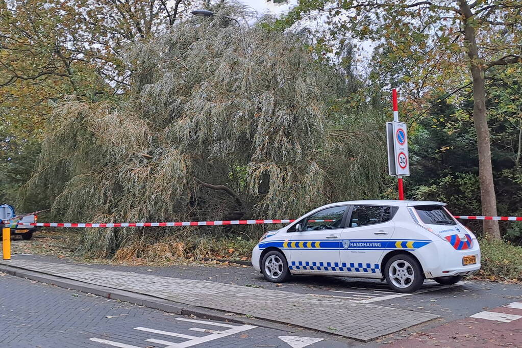 Weg verspert door omgevallen boom