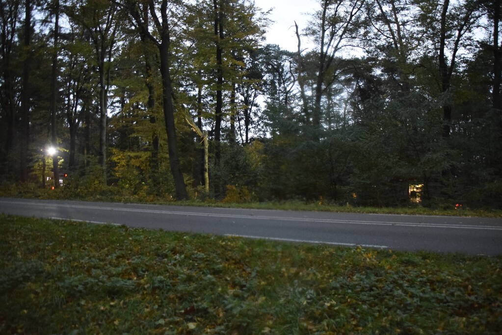 Boom dreigt op weg te vallen