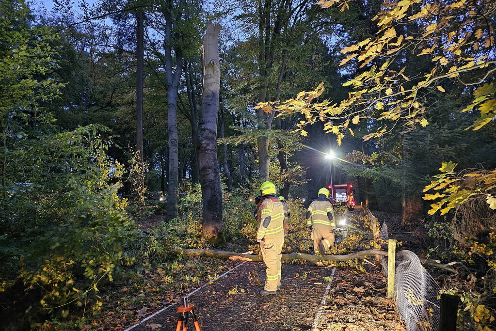 Boom dreigt op weg te vallen