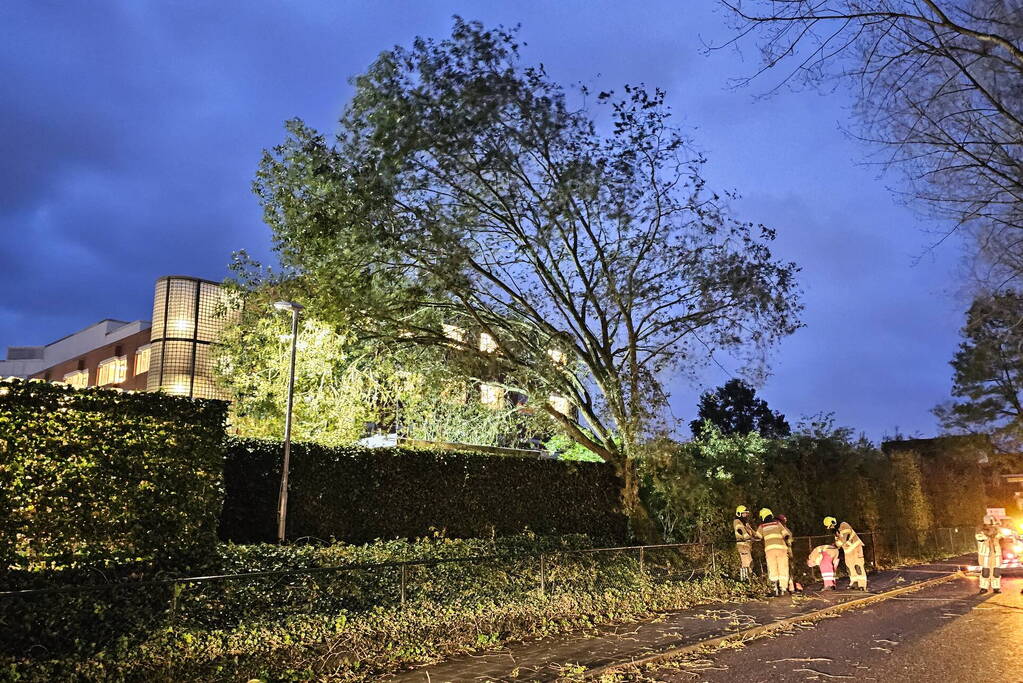 Boom dreigt op carport van huisartsenpost te vallen