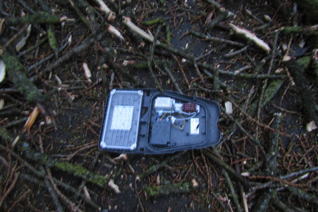 Auto zwaar beschadigd door omgevallen boom