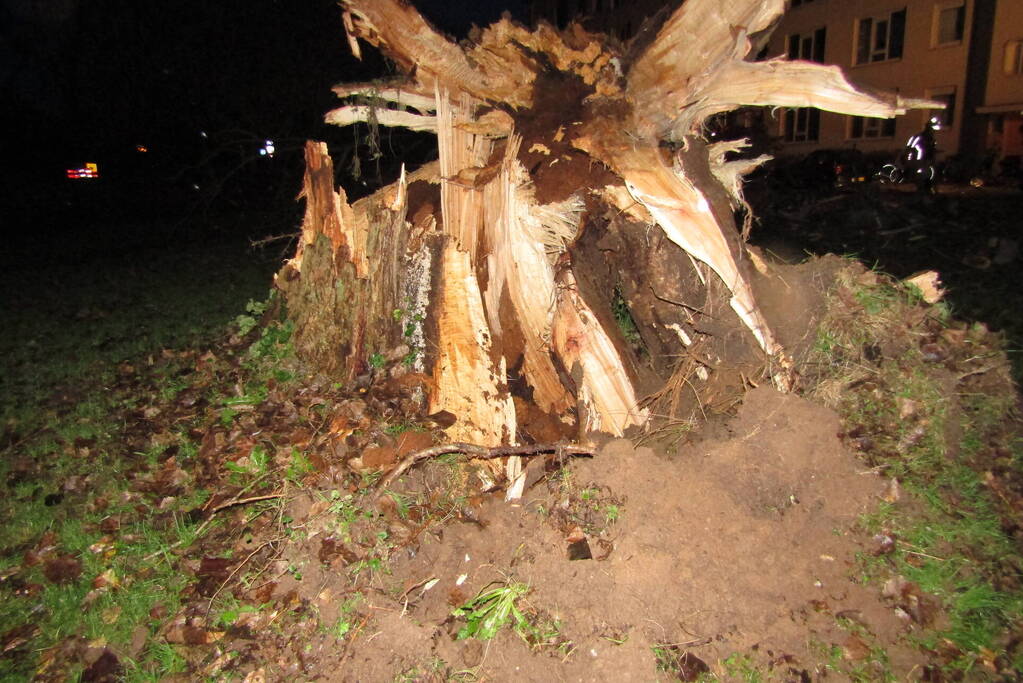 Auto zwaar beschadigd door omgevallen boom